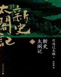 新史太閣記